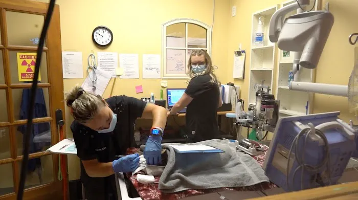 The Bluffs Pet Clinic Picture 8