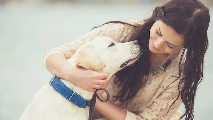 Black Dog Animal Hospital Picture 9