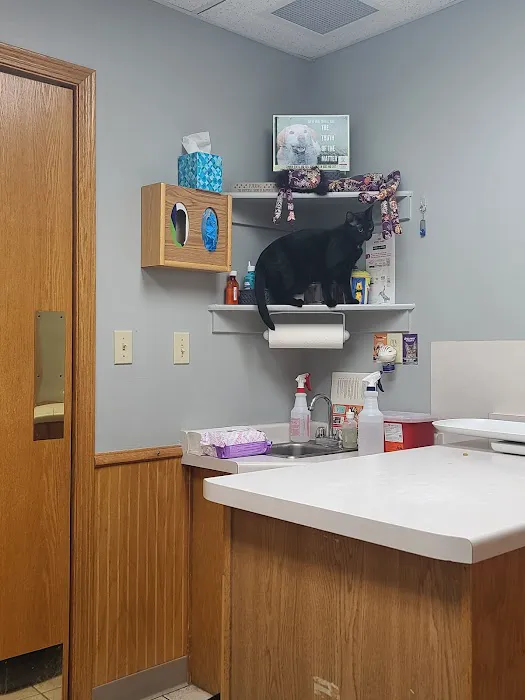 All Creatures Veterinary Clinic Picture 3