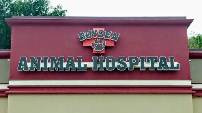Boysen Animal Hospital PA Picture 2
