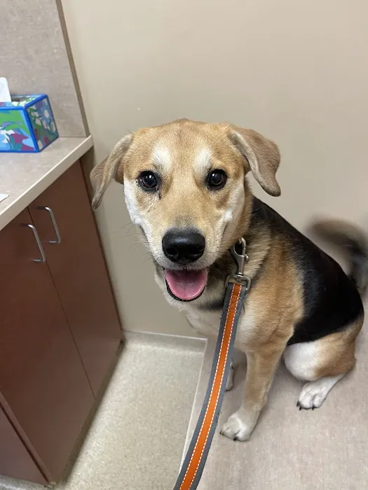 Boysen Animal Hospital PA Picture 4