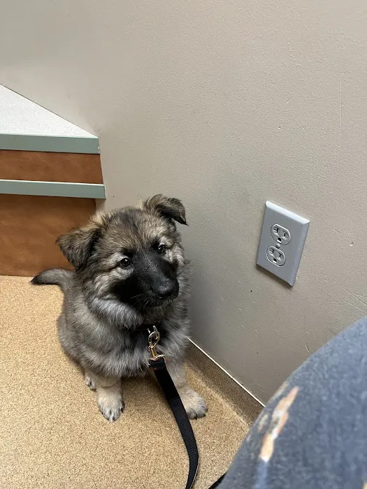 St Joseph Veterinary Clinic Picture 9