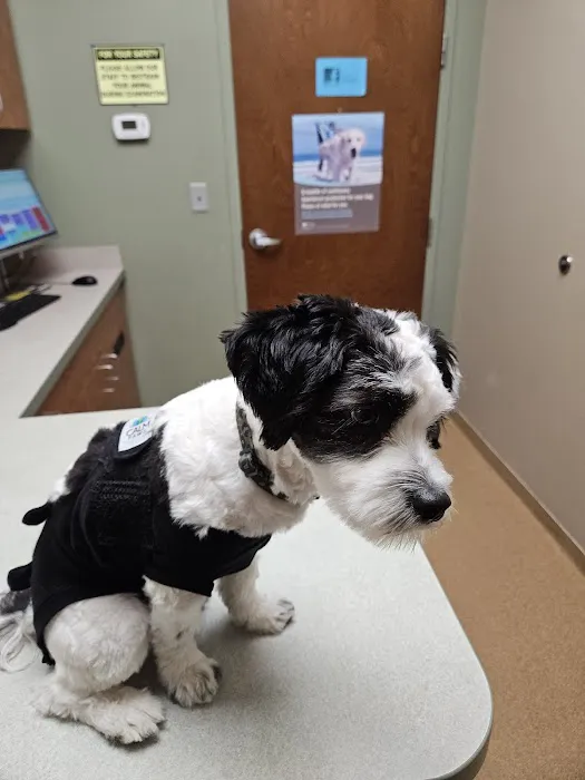 St Joseph Veterinary Clinic Picture 6