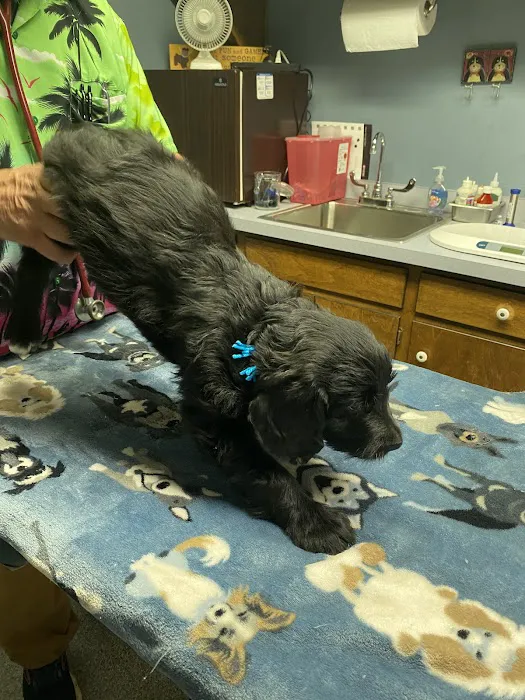 Watkins Veterinary Clinic Picture 3