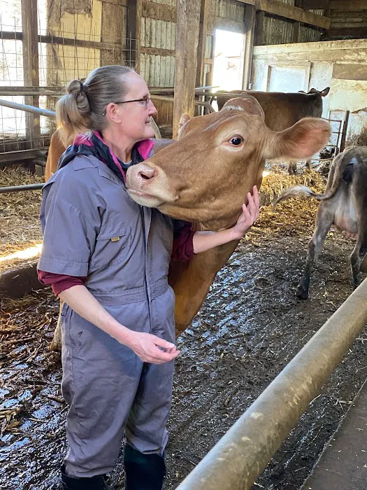 Animal Health Services Picture 1