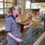Animal Health Services