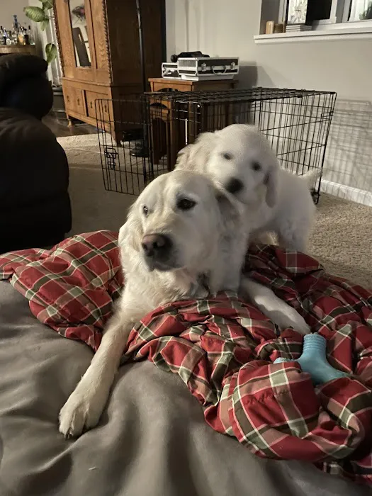 All Pets MSRC Picture 2