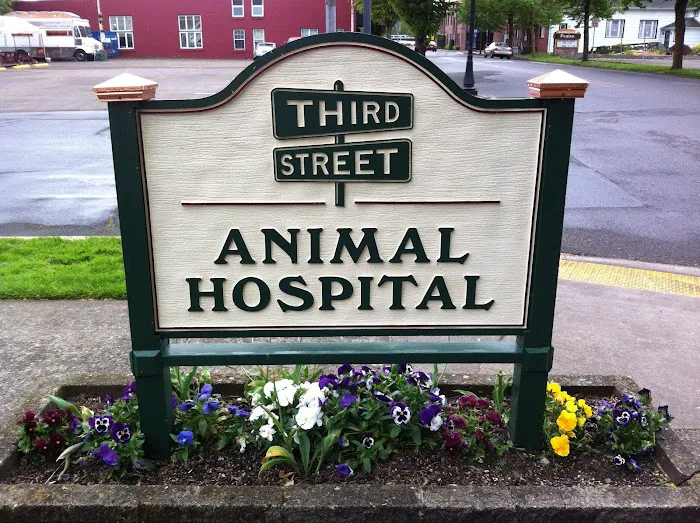 Third Street Veterinary Hospital Picture 1