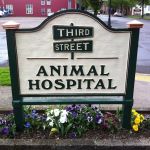 Third Street Veterinary Hospital