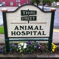 Third Street Veterinary Hospital ico