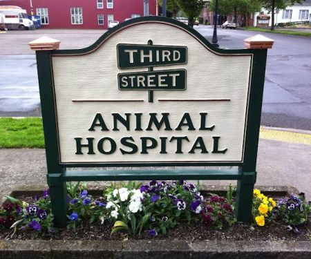 Third Street Veterinary Hospital