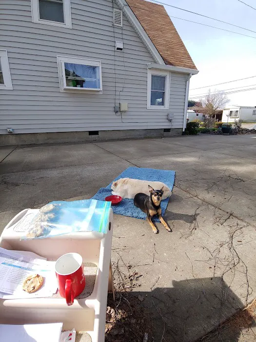 Companion Pet Clinic McMinnville Picture 8