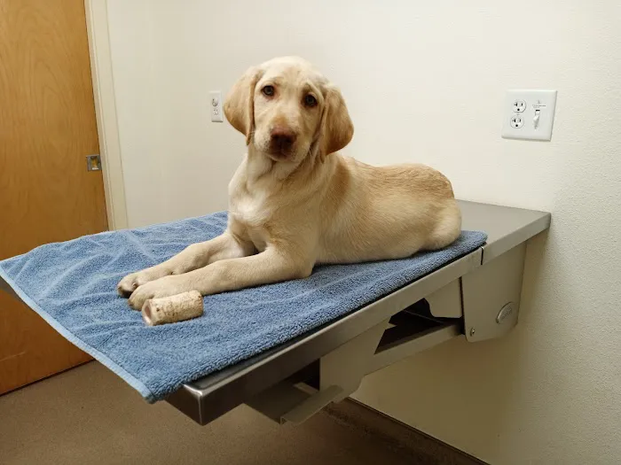 Companion Pet Clinic McMinnville Picture 10
