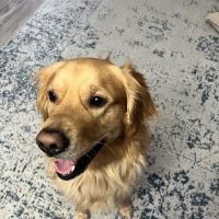 West Salem Animal Clinic ico