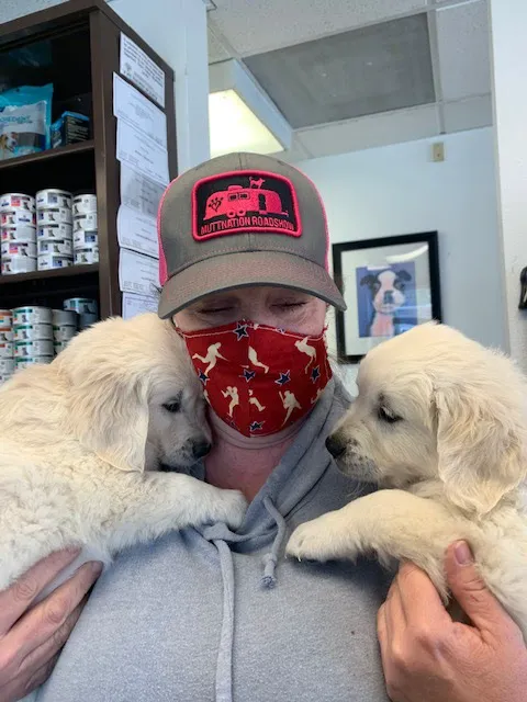 West Salem Animal Clinic Picture 3