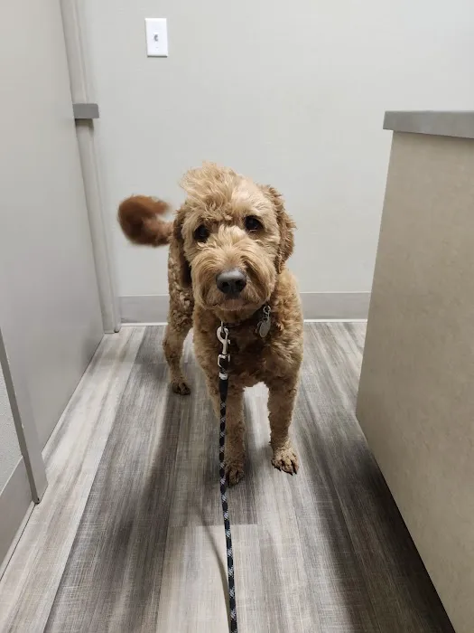 Linn Veterinary Hospital Picture 6