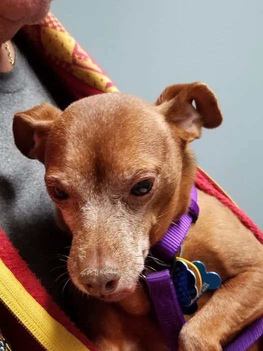 Linn Veterinary Hospital Picture 9
