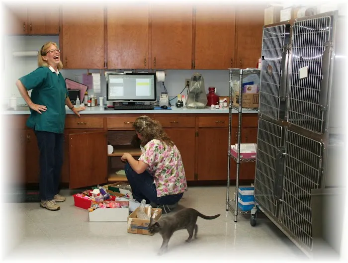 Periwinkle Pet Clinic Picture 2