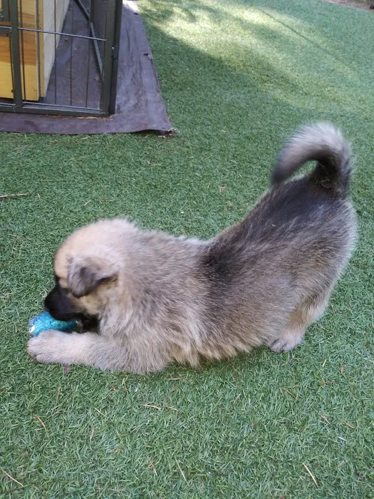 Periwinkle Pet Clinic Picture 9