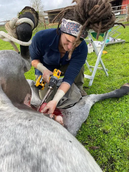Cascadia Equine Veterinary Clinic and Rehabilitation Center Picture 1