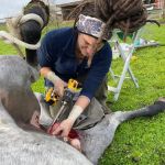 Cascadia Equine Veterinary Clinic and Rehabilitation Center