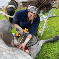 Cascadia Equine Veterinary Clinic and Rehabilitation Center ico