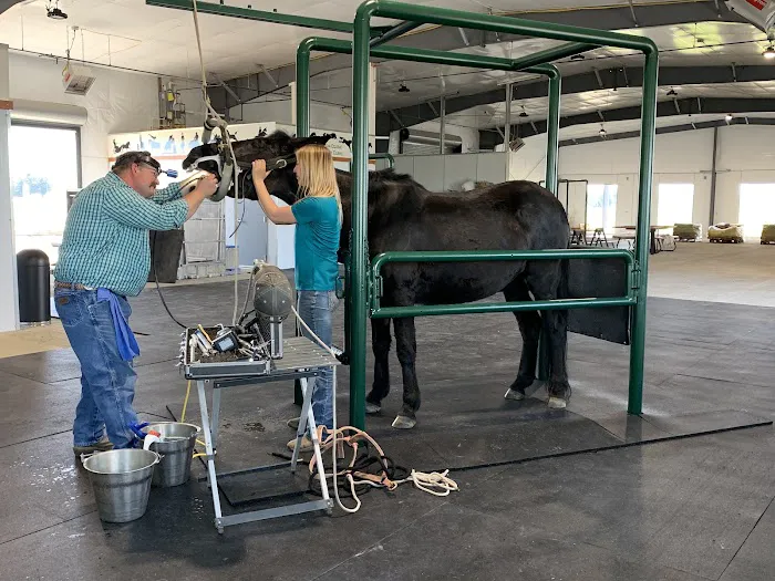 Cascadia Equine Veterinary Clinic and Rehabilitation Center Picture 3