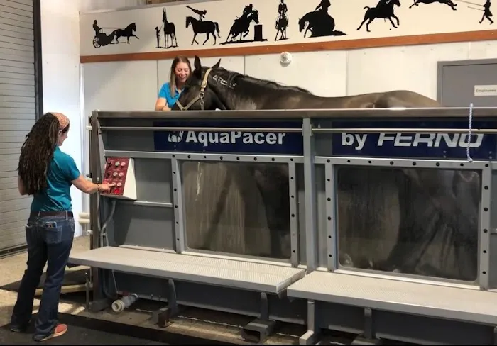 Cascadia Equine Veterinary Clinic and Rehabilitation Center Picture 6