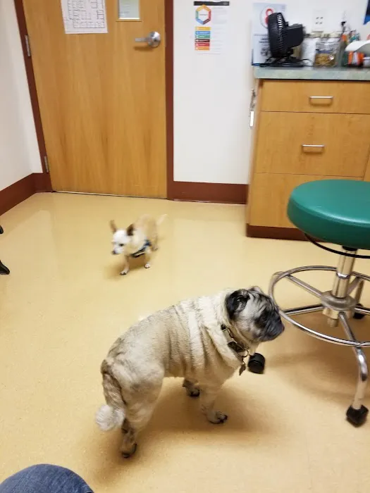 Albany Animal Hospital, Inc. Ken Fletcher, DVM and Payton Hunt, DVM Picture 3