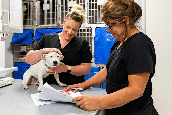 Reid Veterinary Hospital Llc Picture 10