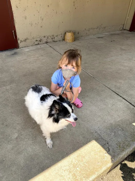 Brownsville Animal Clinic Picture 9