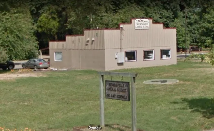 Brownsville Animal Clinic Picture 10