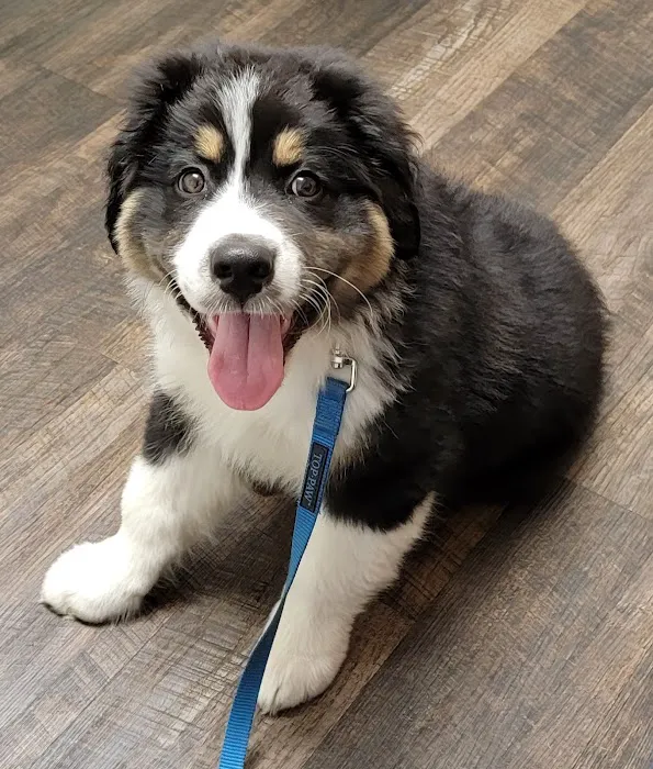 Sweet Home Veterinary Hospital Picture 1
