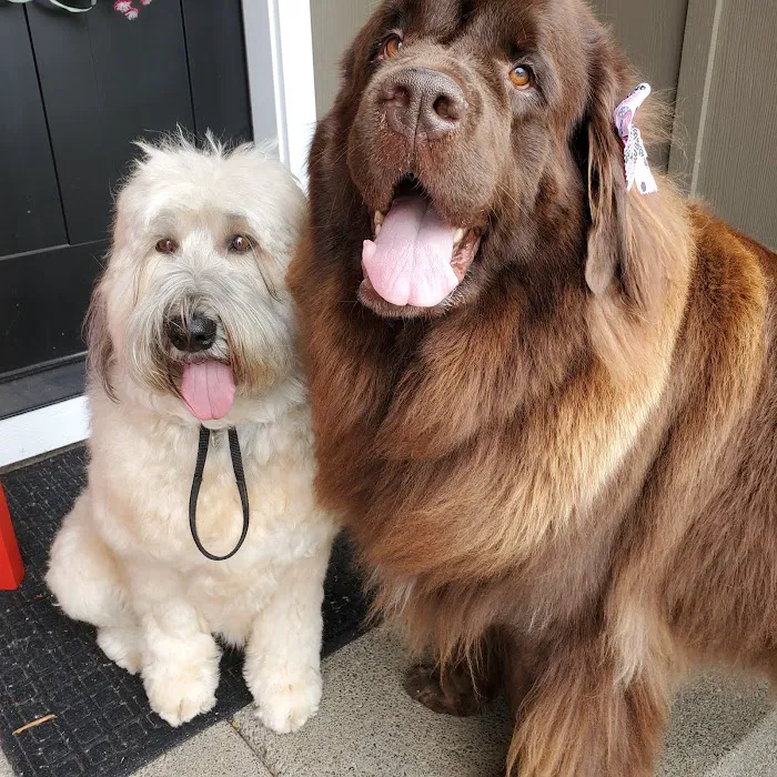Sweet Home Veterinary Hospital Picture 6