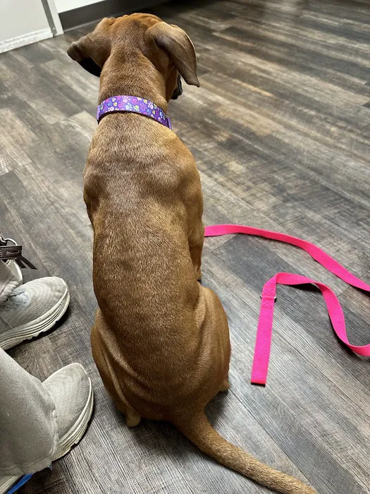Sweet Home Veterinary Hospital Picture 9
