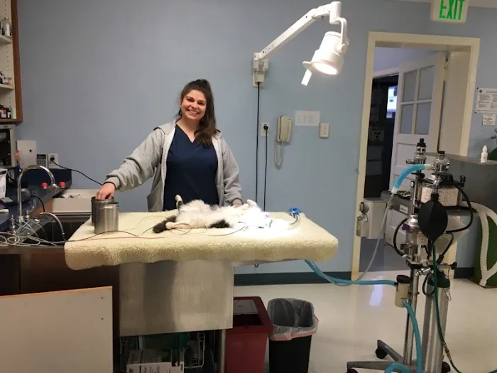 Sweet Home Veterinary Hospital Picture 10