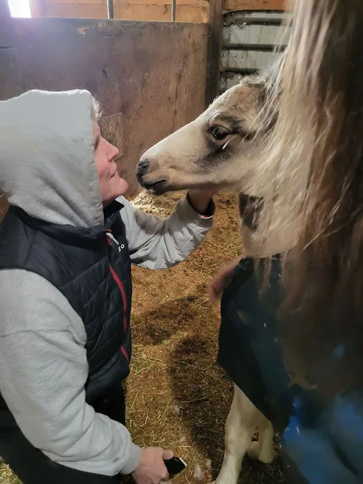 River's Edge Equine Center Picture 1