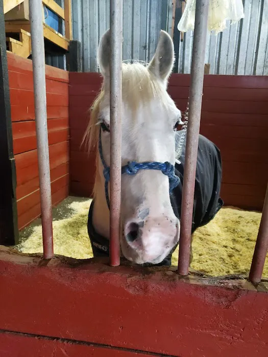 River's Edge Equine Center Picture 4