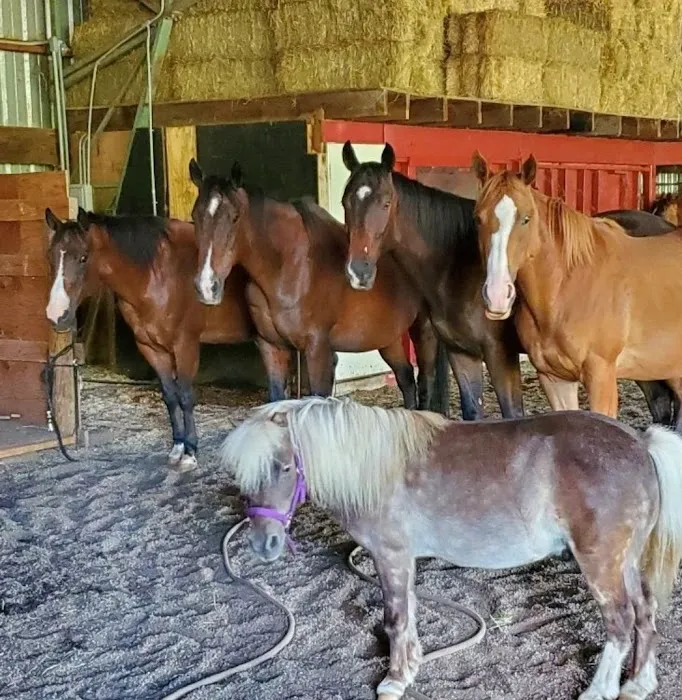 River's Edge Equine Center Picture 3