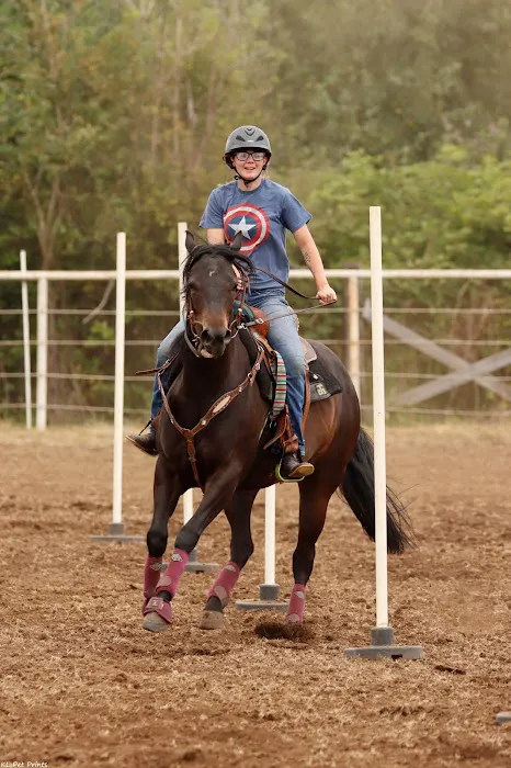River's Edge Equine Center Picture 2