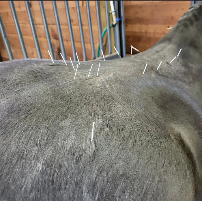 River's Edge Equine Center Picture 6