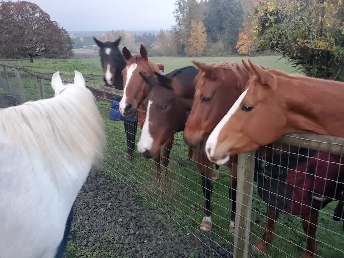 River's Edge Equine Center Picture 7