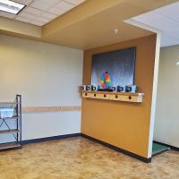 Twin Peaks Veterinary Clinic ico