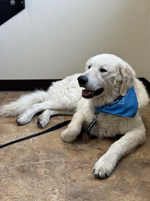 Twin Peaks Veterinary Clinic Picture 7