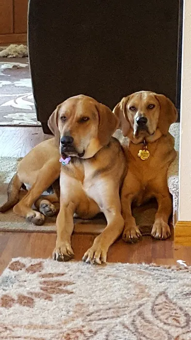 Southmarch Veterinary Hospital Picture 8