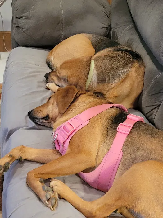 Southmarch Veterinary Hospital Picture 9