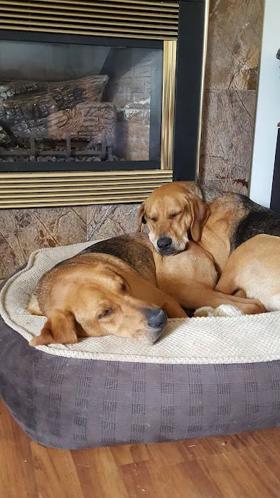 Southmarch Veterinary Hospital Picture 10