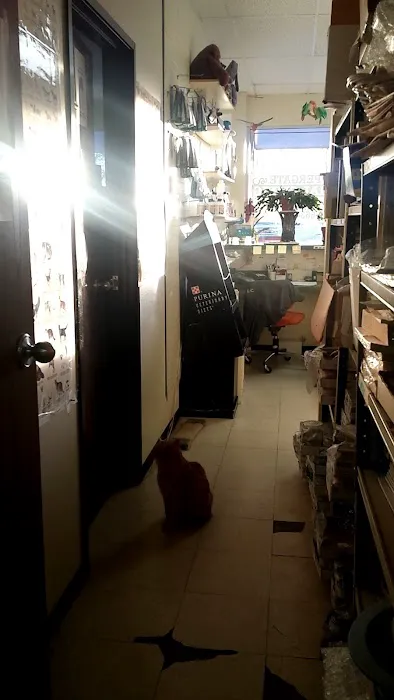 Copper Gate Animal Clinic Picture 10