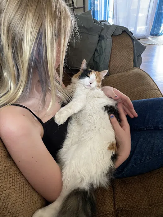 For the Love-Cats Vet Clinic Picture 8