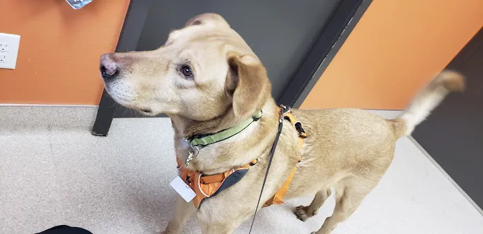 Big Thompson Animal Hospital Picture 1